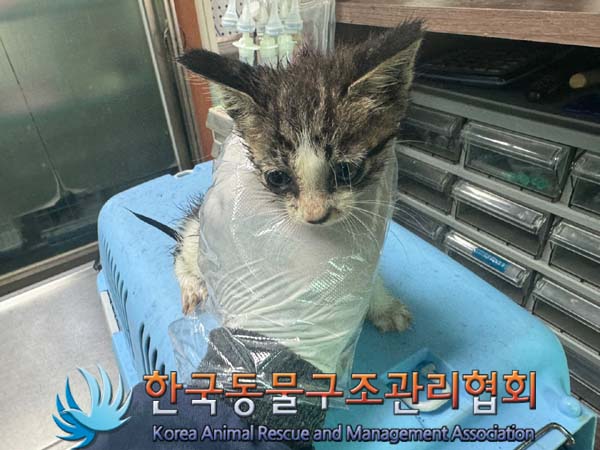 한국동물구조관리협회_441409202401127